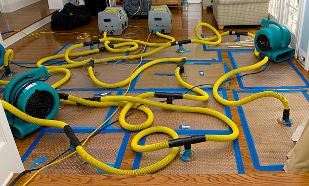 Professional Sewage Cleanup technician working in Wimberley, TX